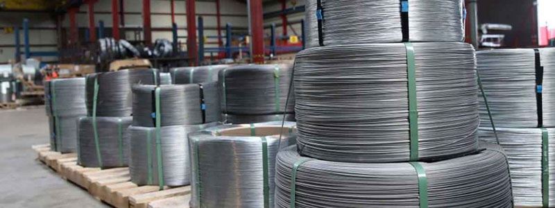 Hastelloy Wire Manufacturer in India